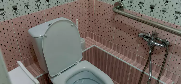 Meeting Diverse Needs With Accessible Restroom Solutions in Edgewood, MD